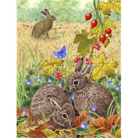 Carolines Treasures Carolines Treasures ASA2140GF Leverets And Rabbit Flag Garden Size ASA2140GF